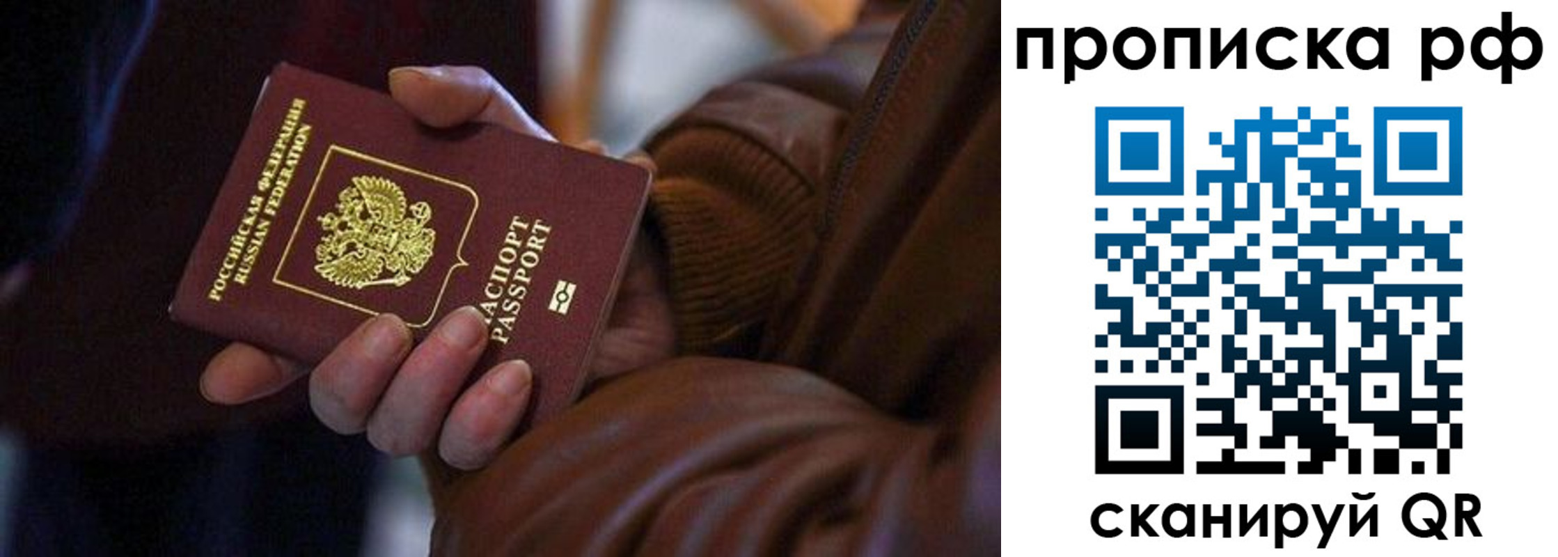 прописка 2025 в Кольчугино