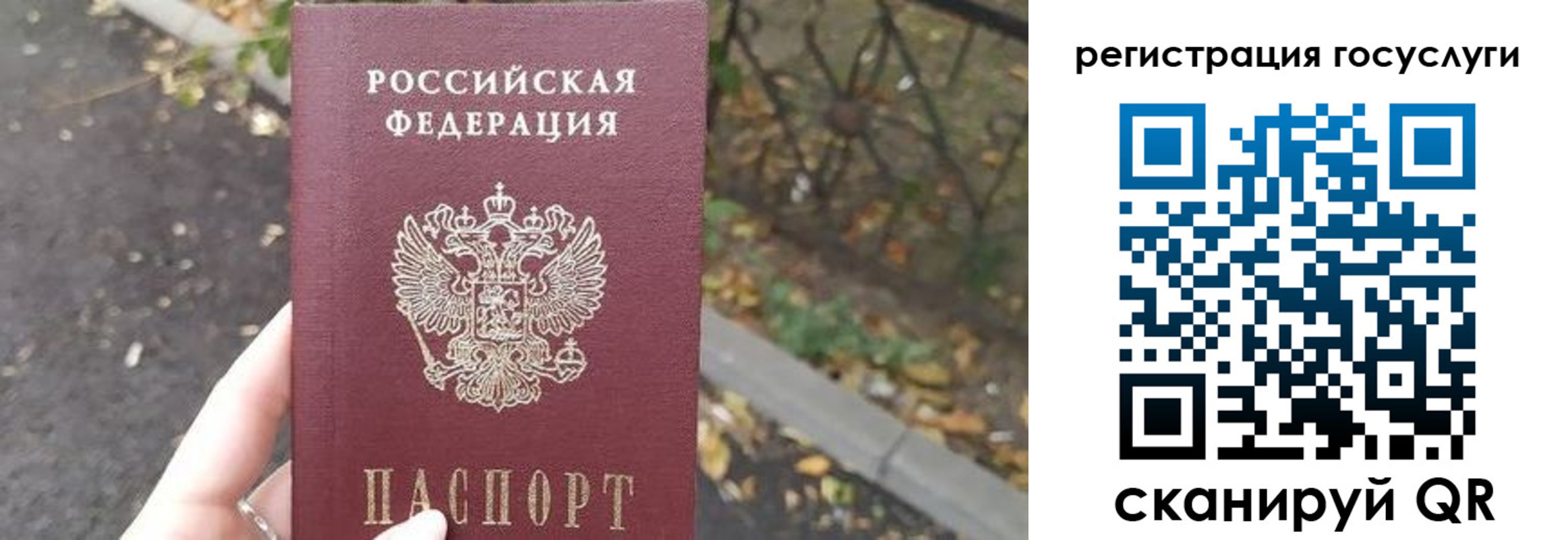 купить прописку в Кольчугино